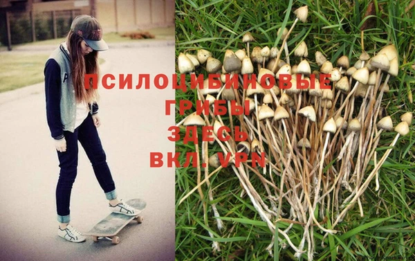 гашишное масло Баксан