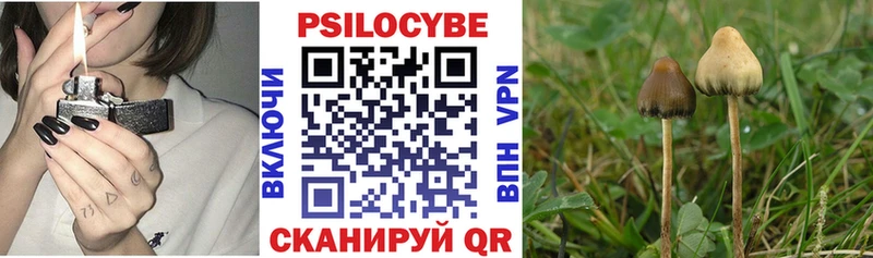 Псилоцибиновые грибы MAGIC MUSHROOMS  mega зеркало  Лениногорск 